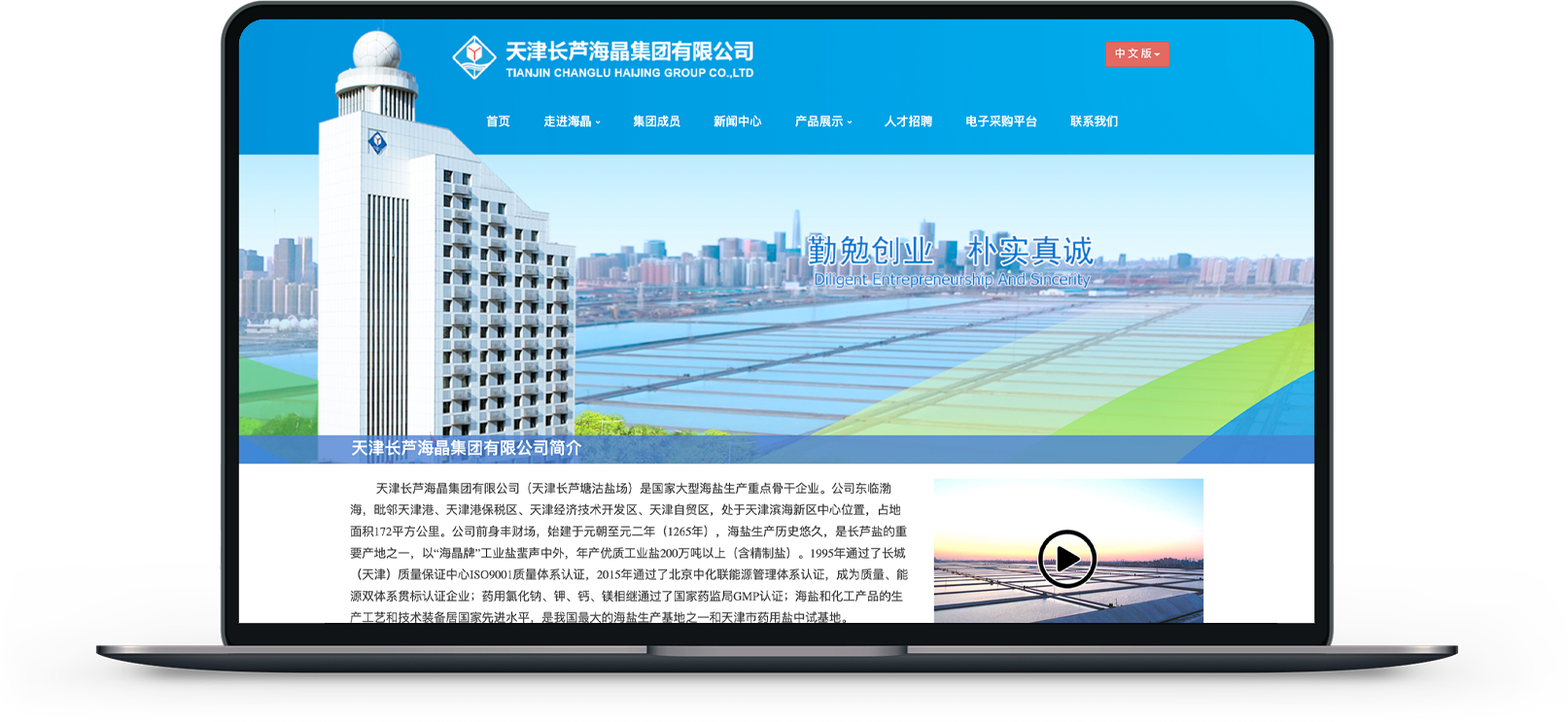 天津集团公司网站制作